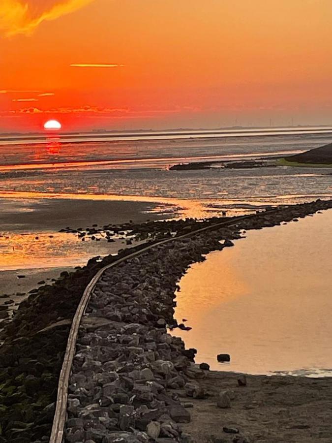 Oosterschelde Lodge Met Veel Privacy En Dicht Bij Het Water Scherpenisse Exteriér fotografie