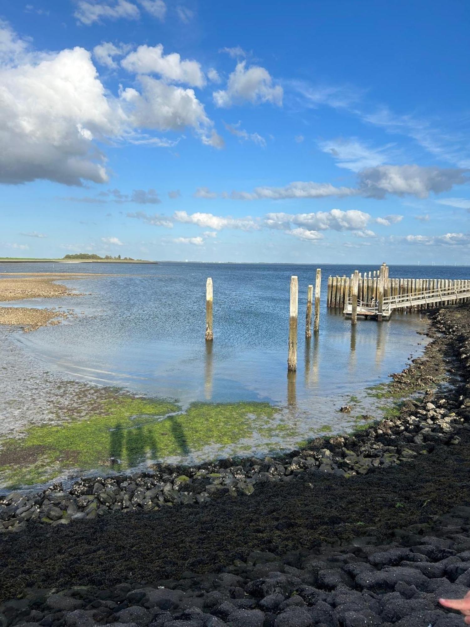 Oosterschelde Lodge Met Veel Privacy En Dicht Bij Het Water Scherpenisse Exteriér fotografie