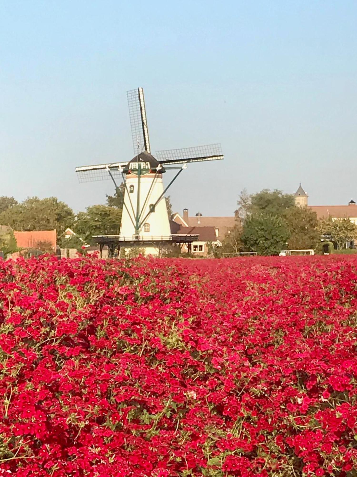 Oosterschelde Lodge Met Veel Privacy En Dicht Bij Het Water Scherpenisse Exteriér fotografie